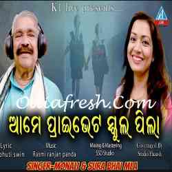 Ame Private School Pilla